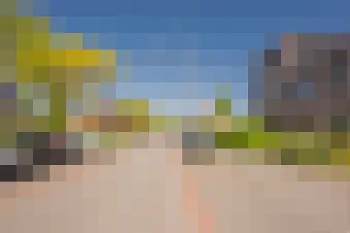 Gaffel 20 Nijkerk thumbnail 34