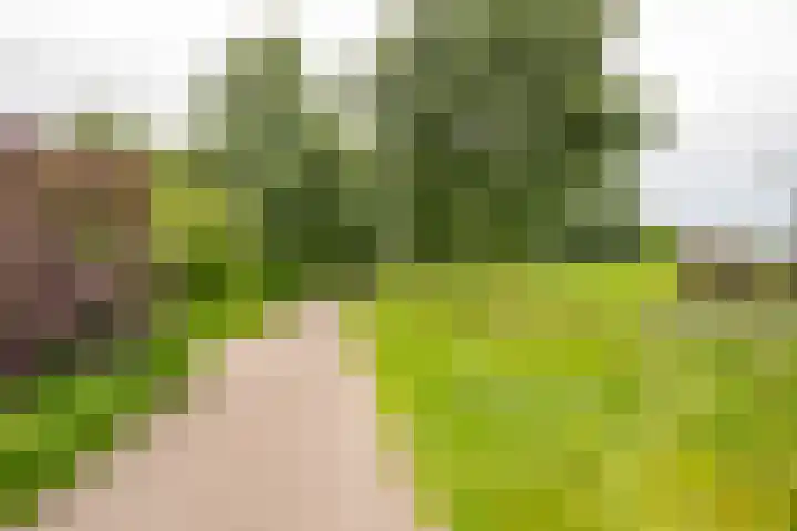 Gaffel 20 Nijkerk thumbnail 37