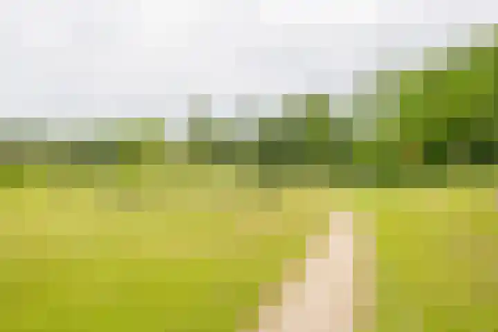 Gaffel 20 Nijkerk thumbnail 39