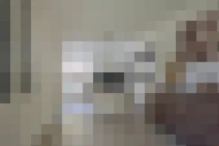 Gaffel 20 Nijkerk thumbnail 4