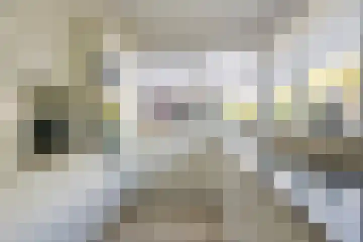 Gaffel 20 Nijkerk thumbnail 6