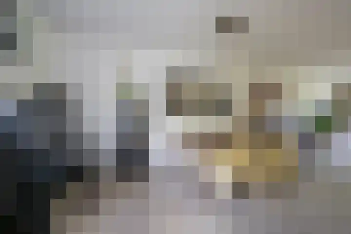 Gaffel 20 Nijkerk thumbnail 9