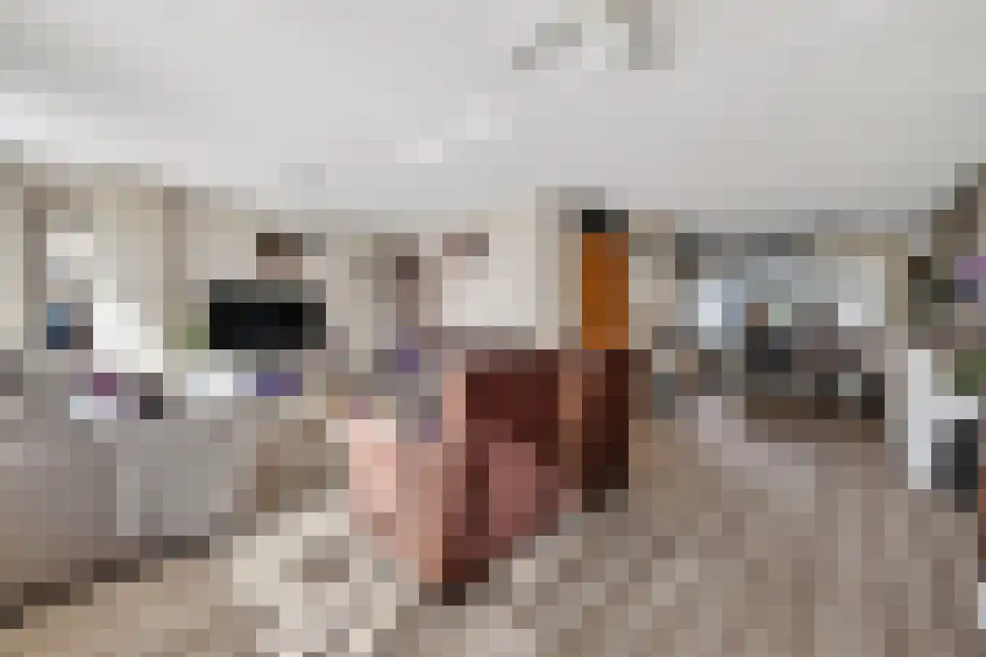 Gaffel 21 Klazienaveen thumbnail 10