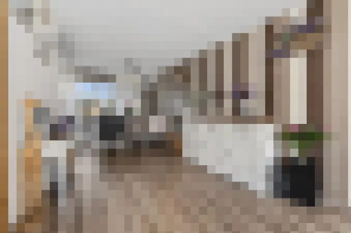 Gaffel 21 Klazienaveen thumbnail 11