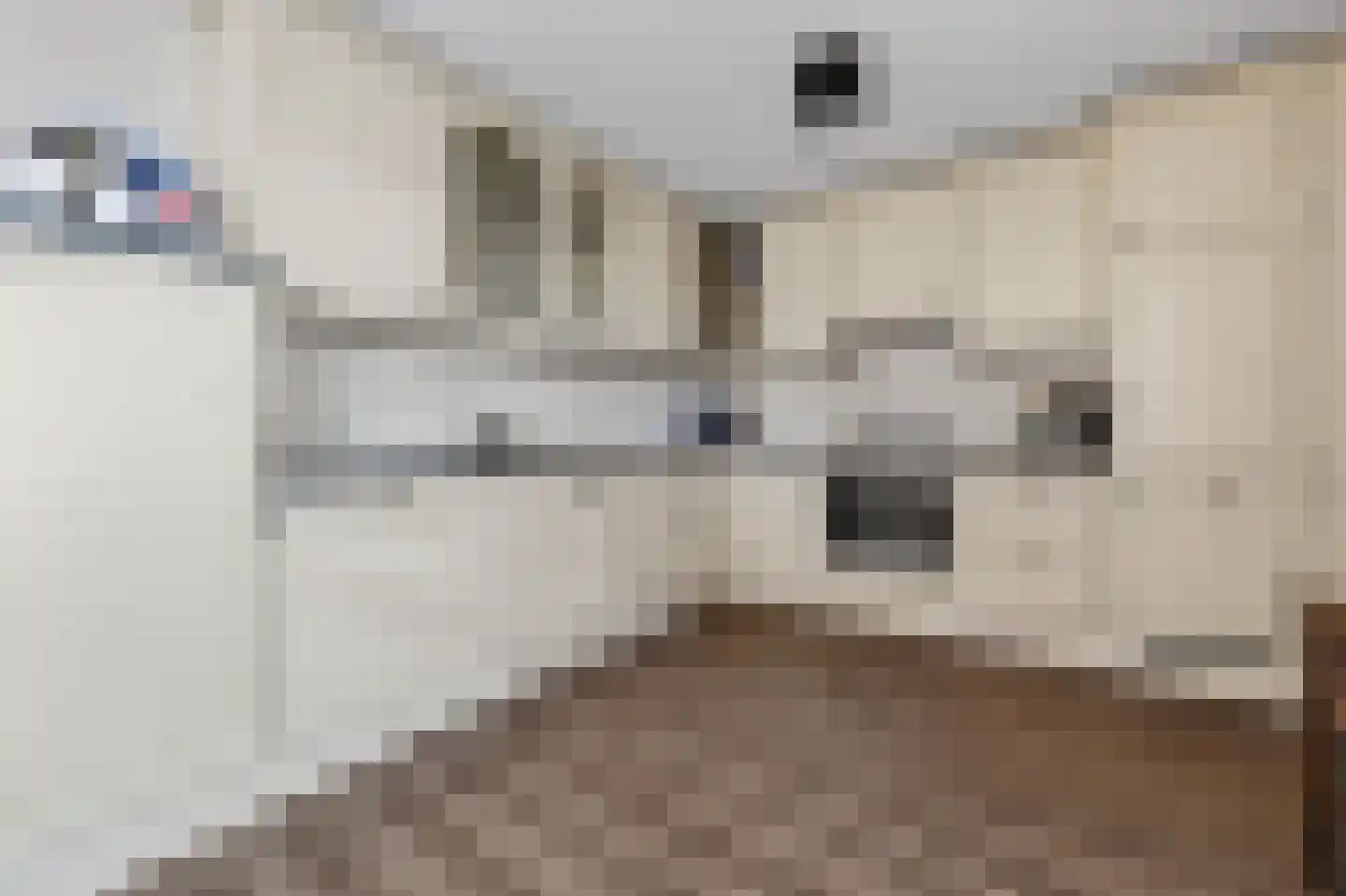 Gaffel 21 Klazienaveen thumbnail 15