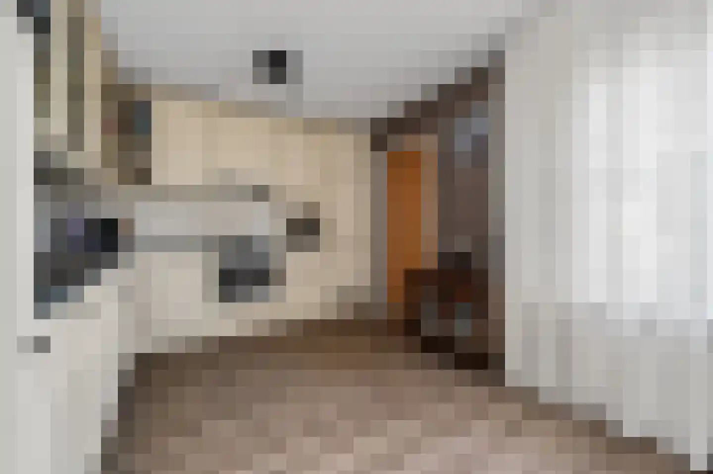 Gaffel 21 Klazienaveen thumbnail 16