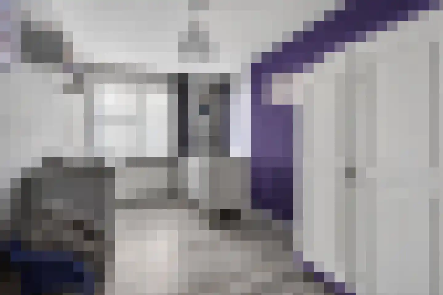 Gaffel 21 Klazienaveen thumbnail 23