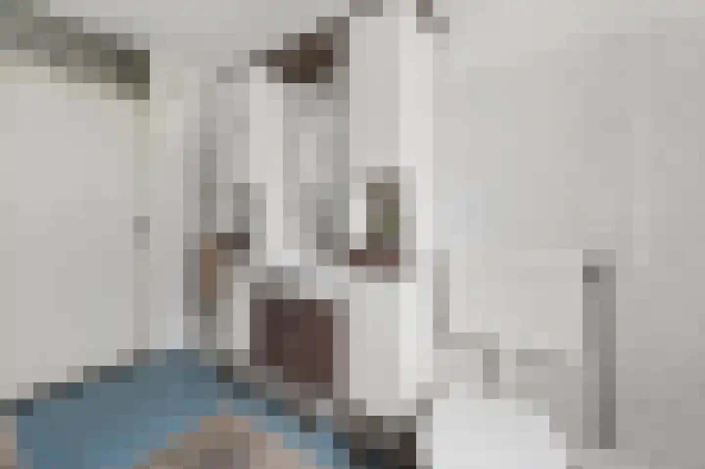 Gaffel 21 Klazienaveen thumbnail 28