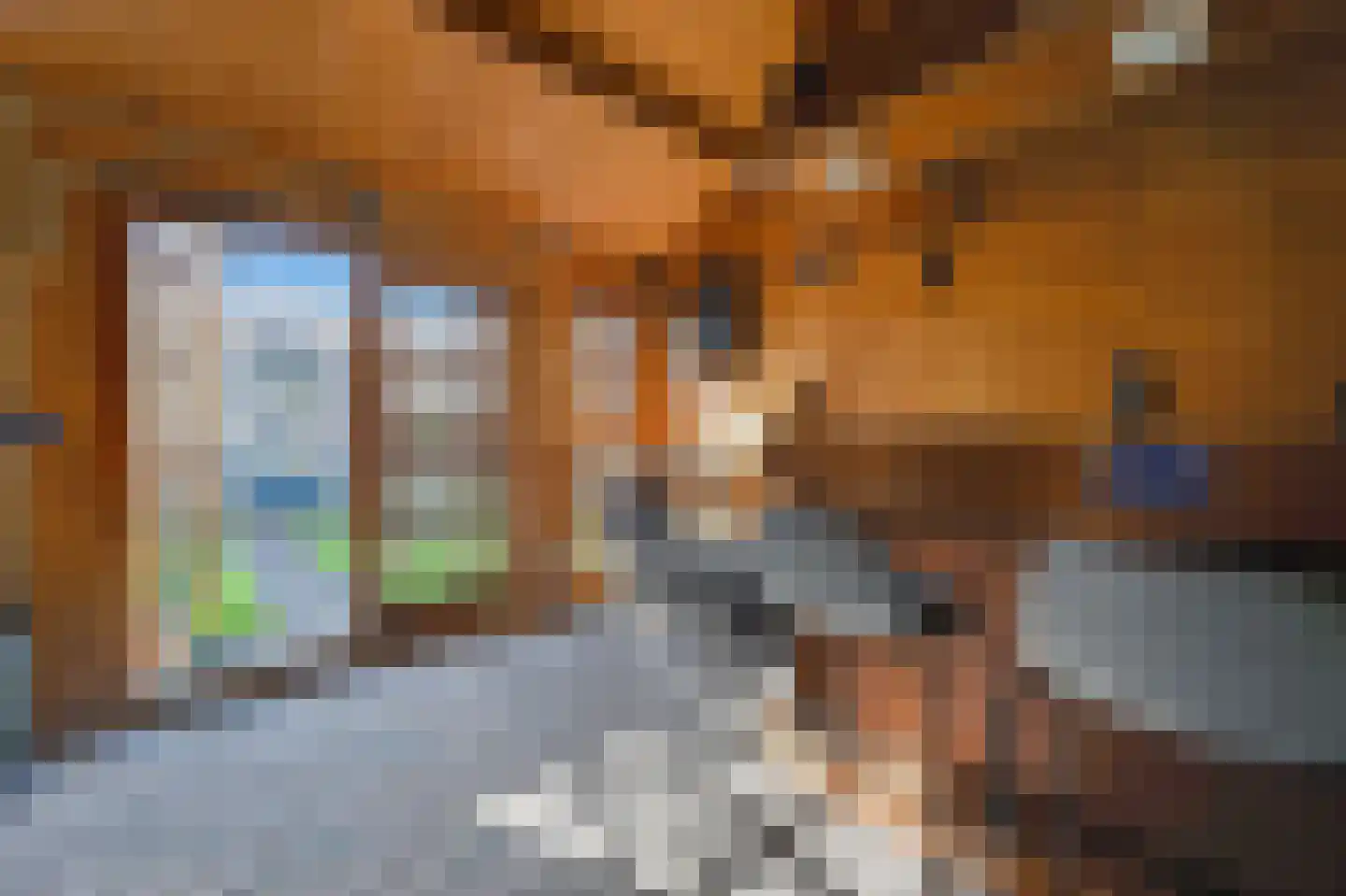 Gaffel 21 Klazienaveen thumbnail 39