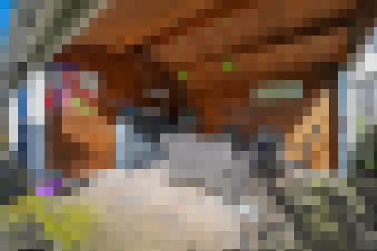 Gaffel 21 Klazienaveen thumbnail 41