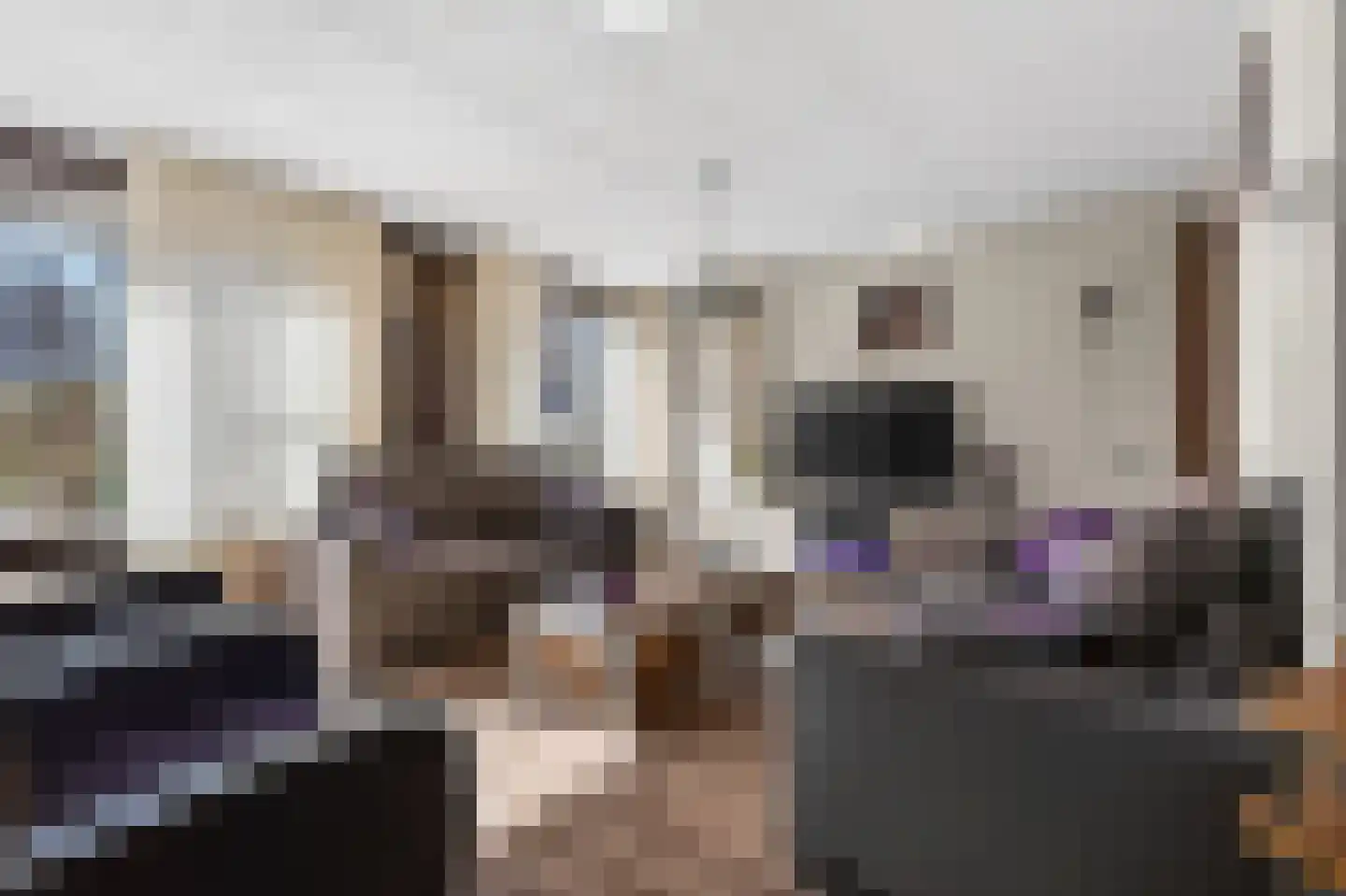Gaffel 21 Klazienaveen thumbnail 6