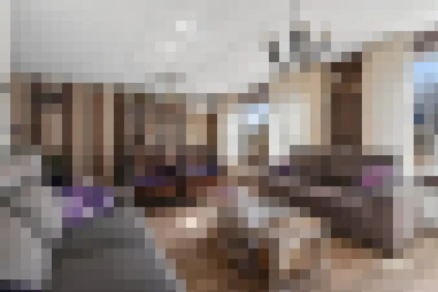Gaffel 21 Klazienaveen thumbnail 7