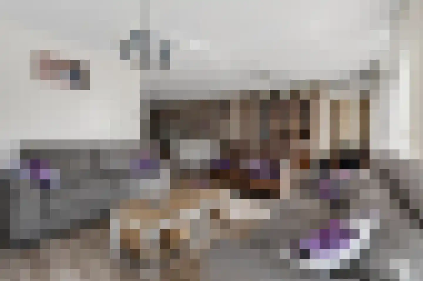 Gaffel 21 Klazienaveen thumbnail 8