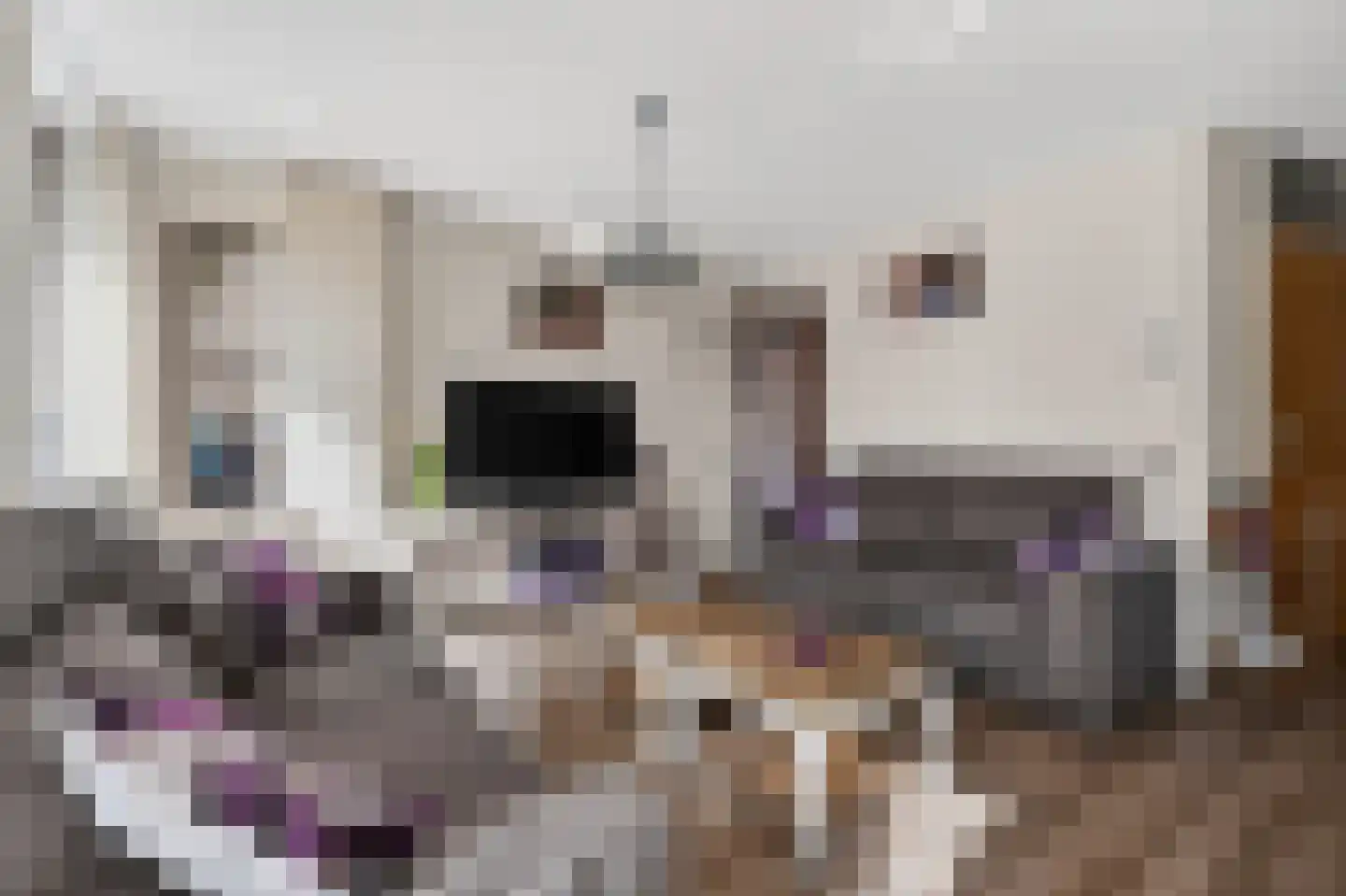 Gaffel 21 Klazienaveen thumbnail 9