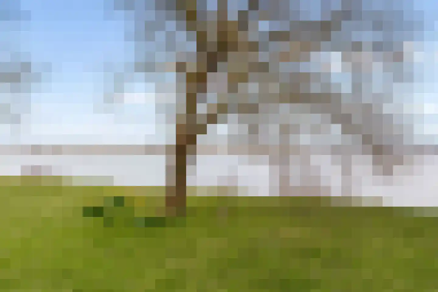Gaffel 28 Almere thumbnail 64