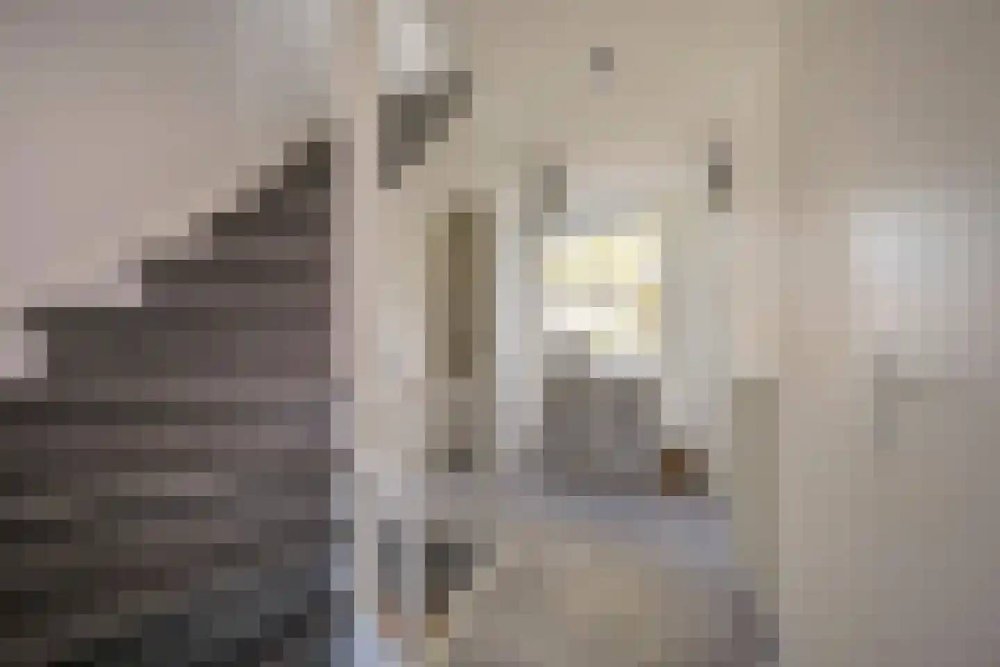 Gaffel 29 Nijkerk thumbnail 15