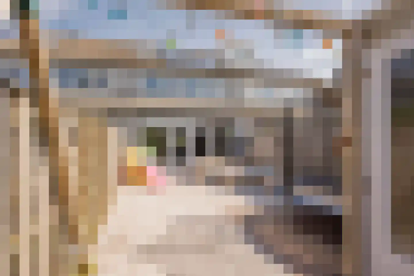 Gaffel 29 Nijkerk thumbnail 28