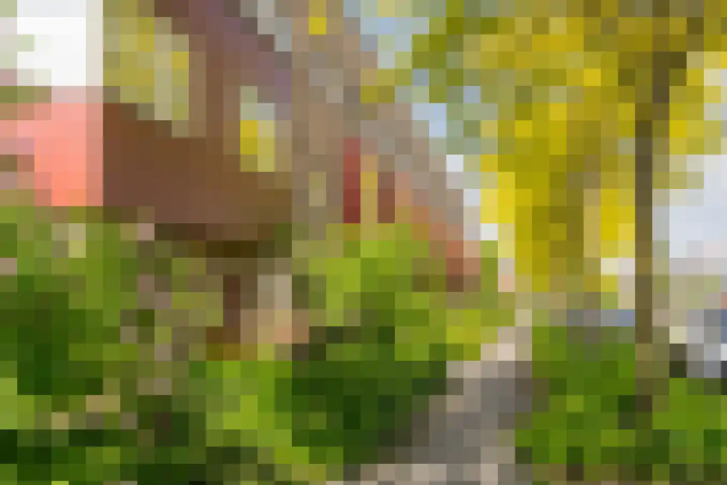 Gaffel 29 Nijkerk thumbnail 29