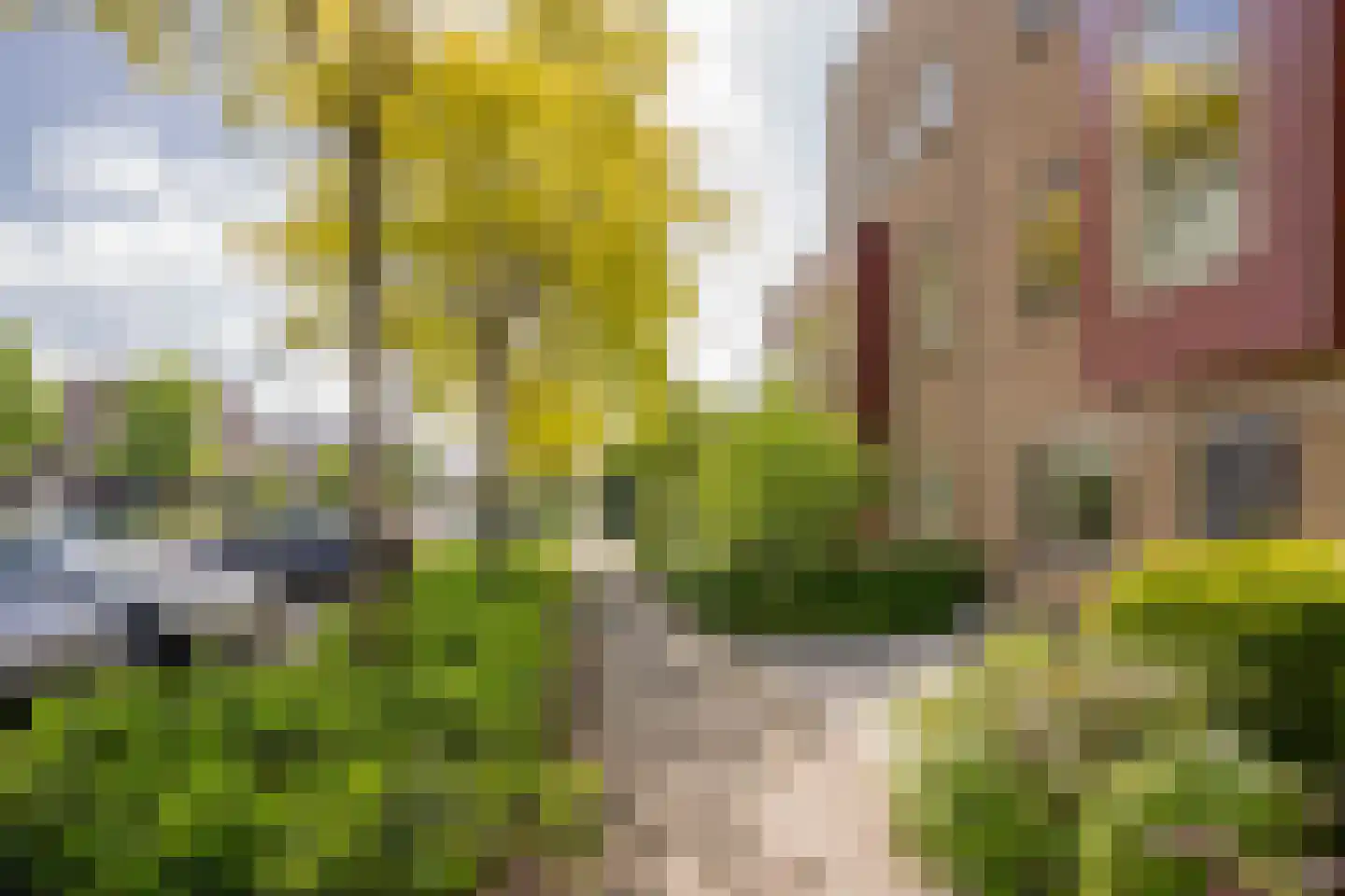 Gaffel 29 Nijkerk thumbnail 30