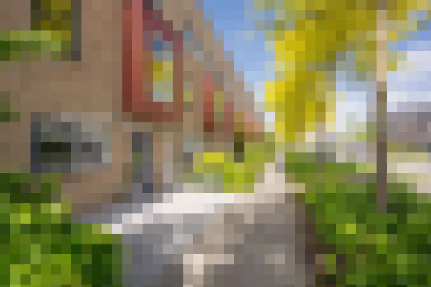 Gaffel 29 Nijkerk thumbnail 31
