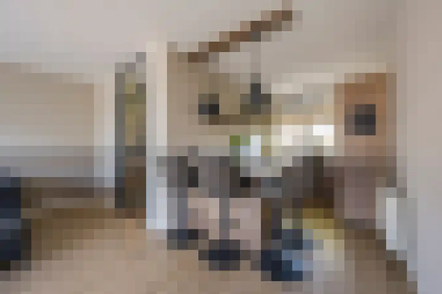 Gaffel 29 Nijkerk thumbnail 5