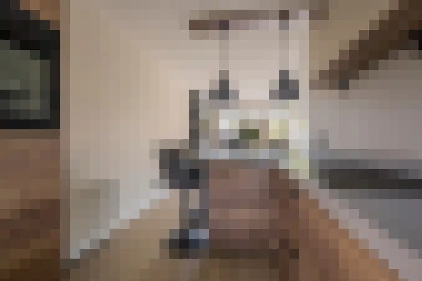 Gaffel 29 Nijkerk thumbnail 8