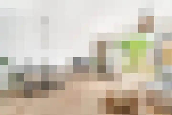 Gaffel 37 Nijkerk thumbnail 10
