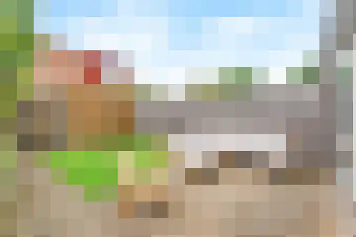 Gaffel 37 Nijkerk thumbnail 11