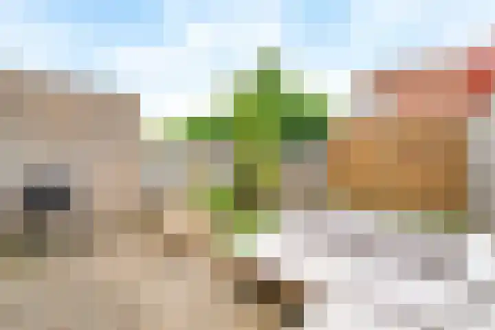 Gaffel 37 Nijkerk thumbnail 12