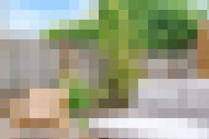 Gaffel 37 Nijkerk thumbnail 13