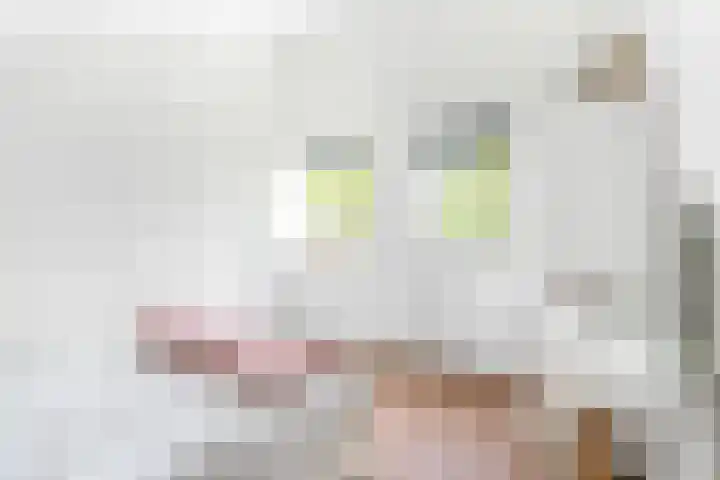 Gaffel 37 Nijkerk thumbnail 22