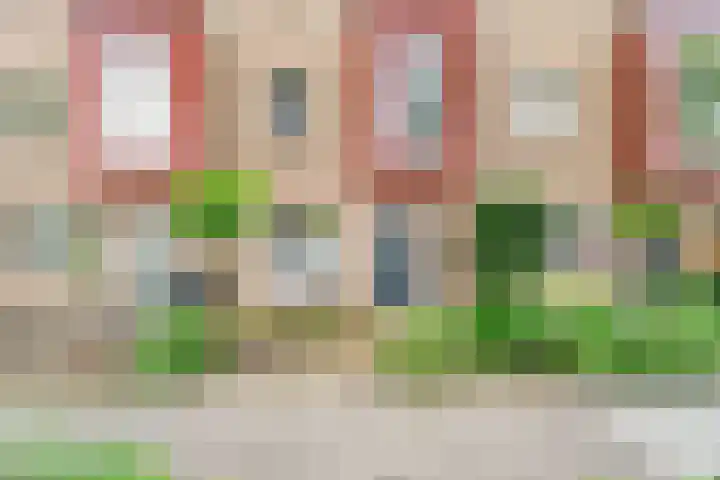 Gaffel 37 Nijkerk thumbnail 24