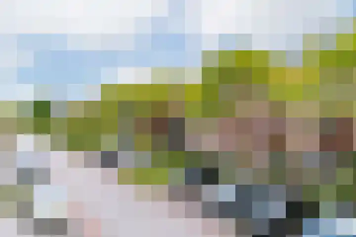 Gaffel 37 Nijkerk thumbnail 25