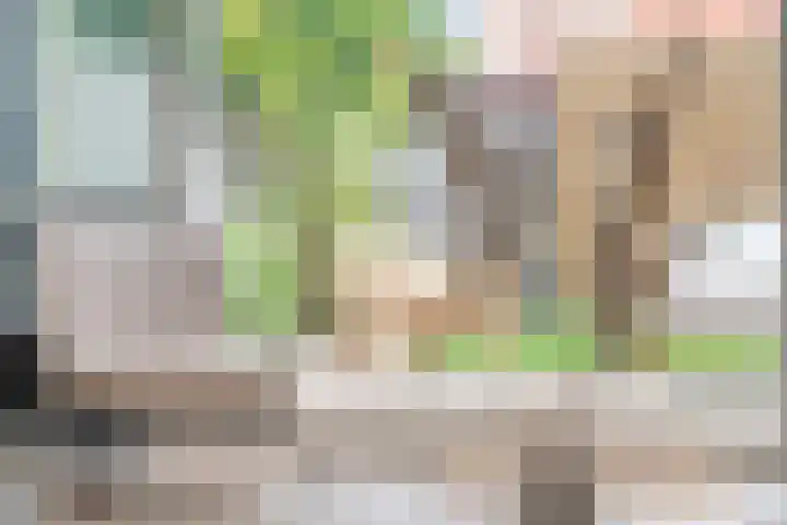 Gaffel 37 Nijkerk thumbnail 31
