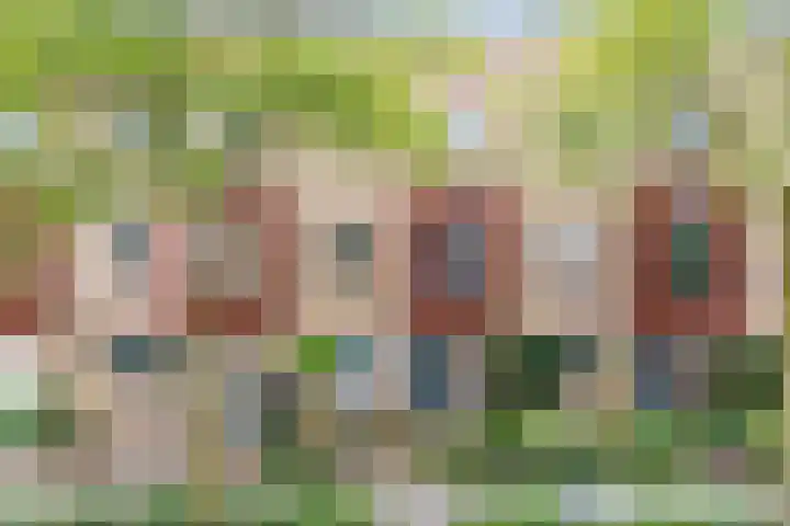 Gaffel 37 Nijkerk thumbnail 37