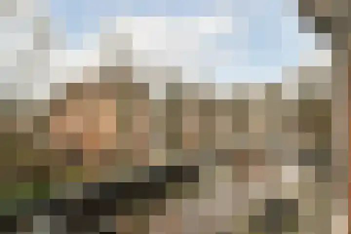 Gaffel 44 Almere thumbnail 13