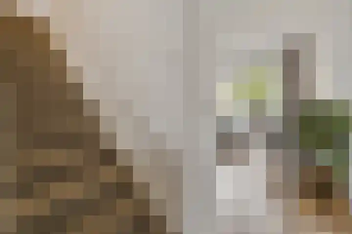 Gaffel 44 Almere thumbnail 17