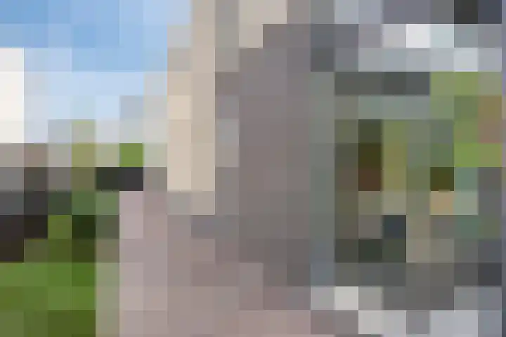 Gaffel 44 Almere thumbnail 6