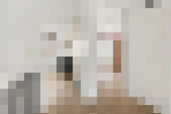 Gaffel 46 Nijkerk thumbnail 14
