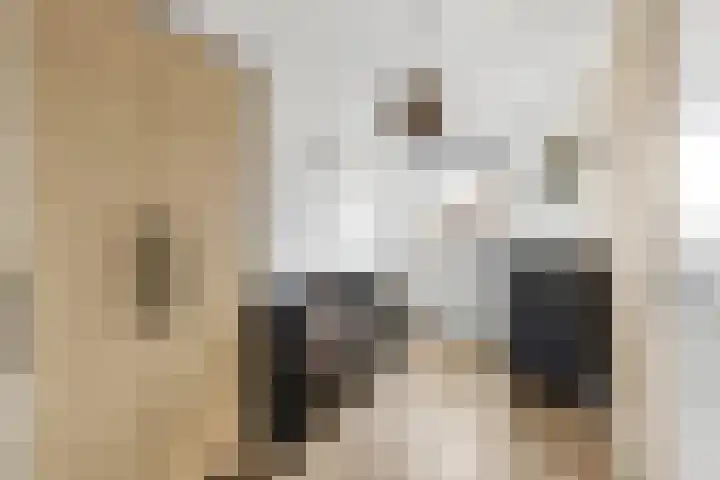 Gaffel 46 Nijkerk thumbnail 15