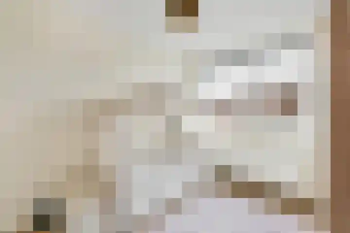 Gaffel 46 Nijkerk thumbnail 17