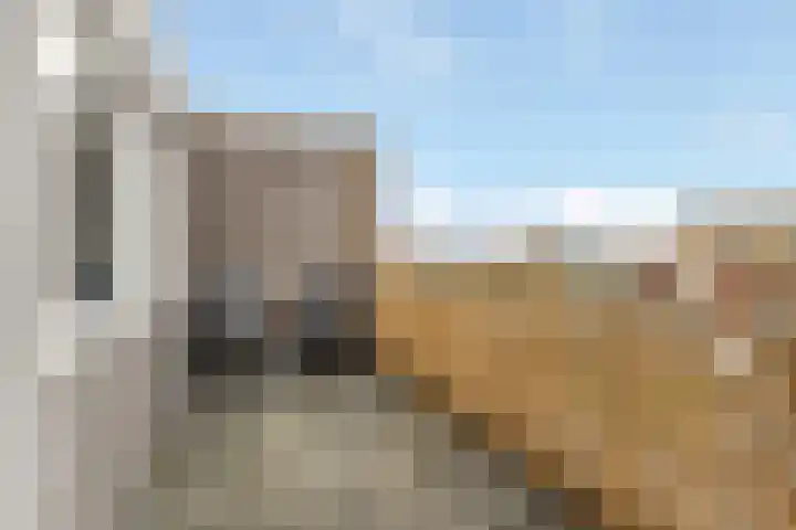 Gaffel 46 Nijkerk thumbnail 30