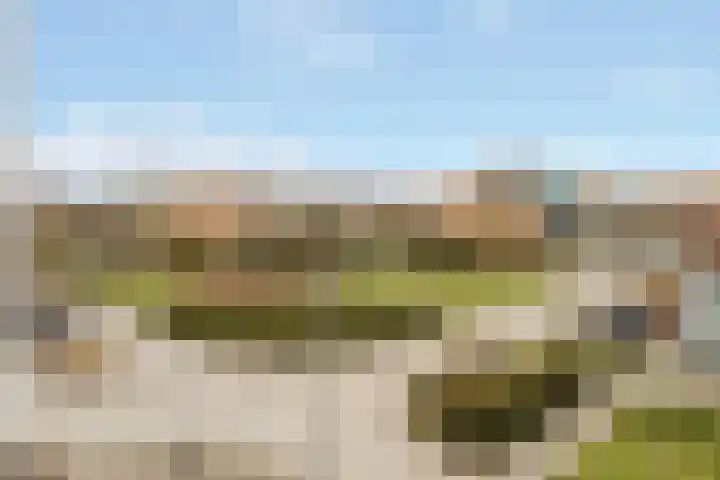 Gaffel 46 Nijkerk thumbnail 33