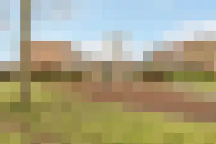 Gaffel 46 Nijkerk thumbnail 34