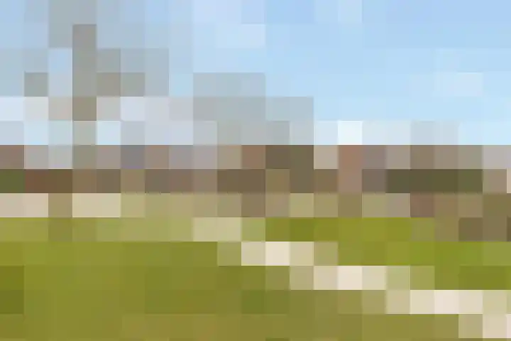 Gaffel 46 Nijkerk thumbnail 35