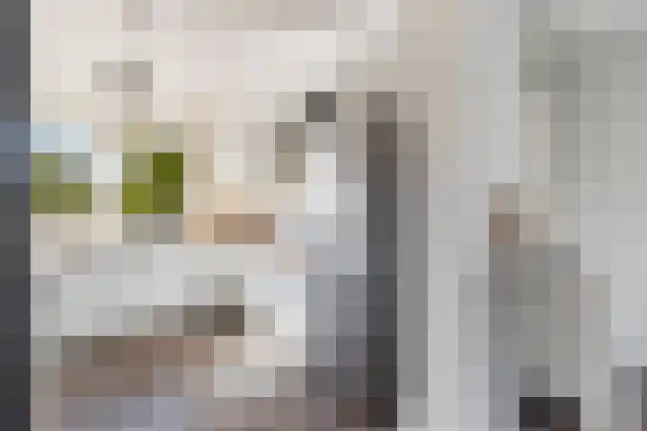 Gaffel 58 Nijkerk thumbnail 15