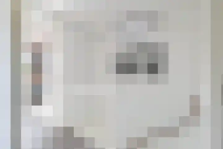 Gaffel 58 Nijkerk thumbnail 16