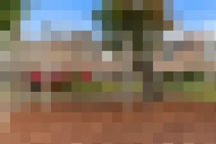Gaffel 58 Nijkerk thumbnail 26