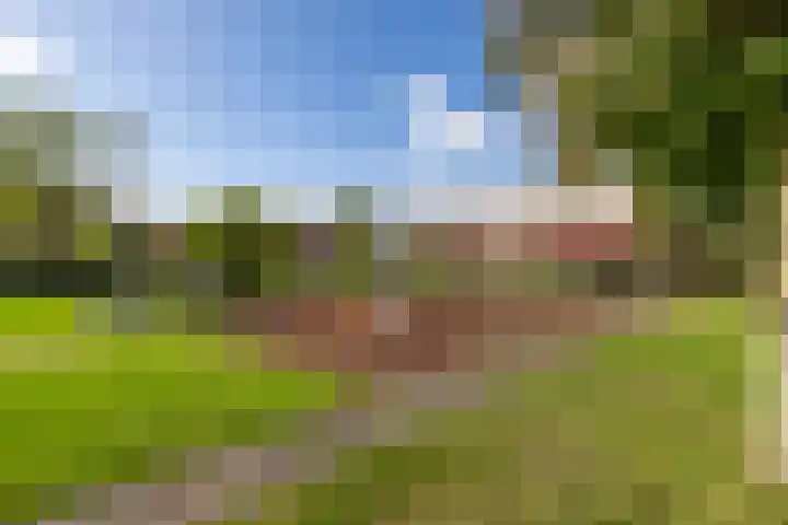 Gaffel 58 Nijkerk thumbnail 27
