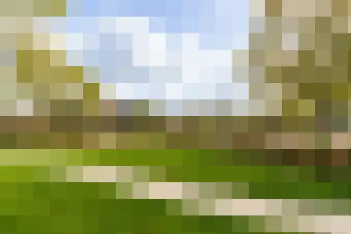 Gaffel 58 Nijkerk thumbnail 28